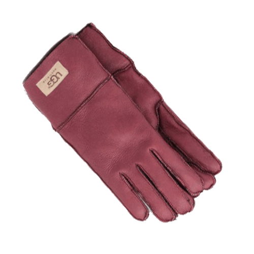 UGG Women's Leather Vine Gloves