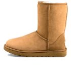 UGG Short Classic II Chestnut